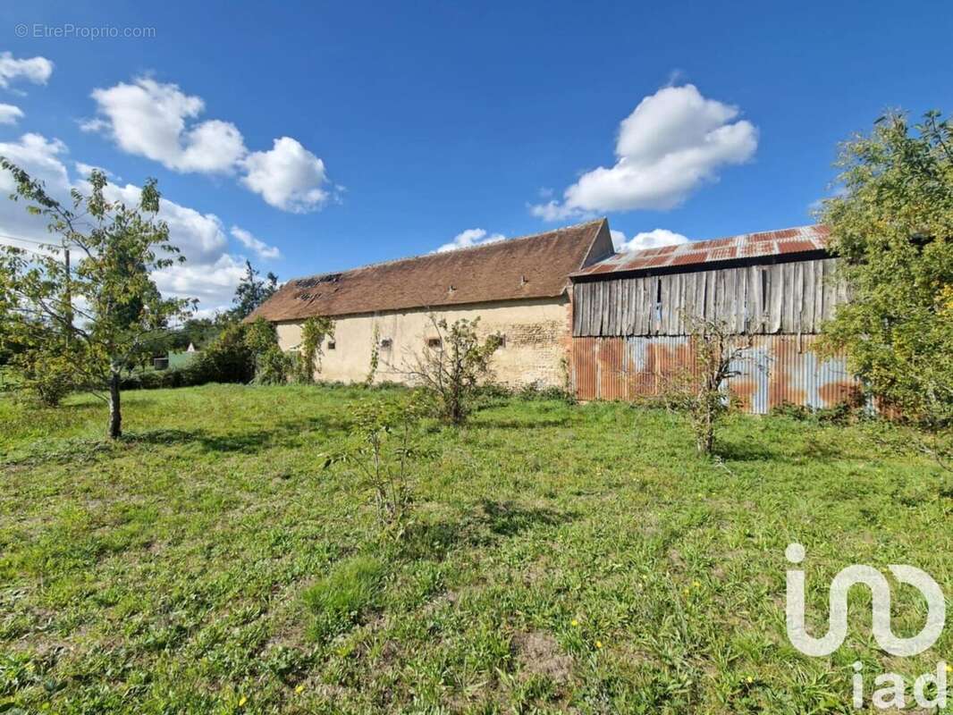 Photo 4 - Maison à BRAY-EN-VAL