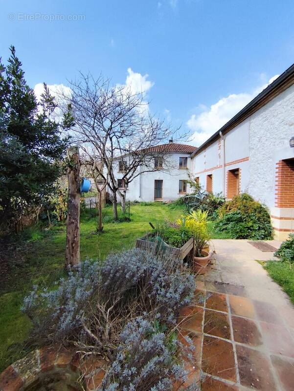 Photo 1 - Maison à MOISSAC