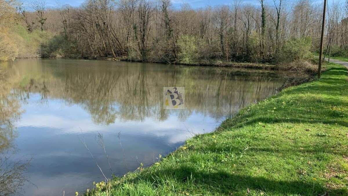 Terrain à DUSSAC