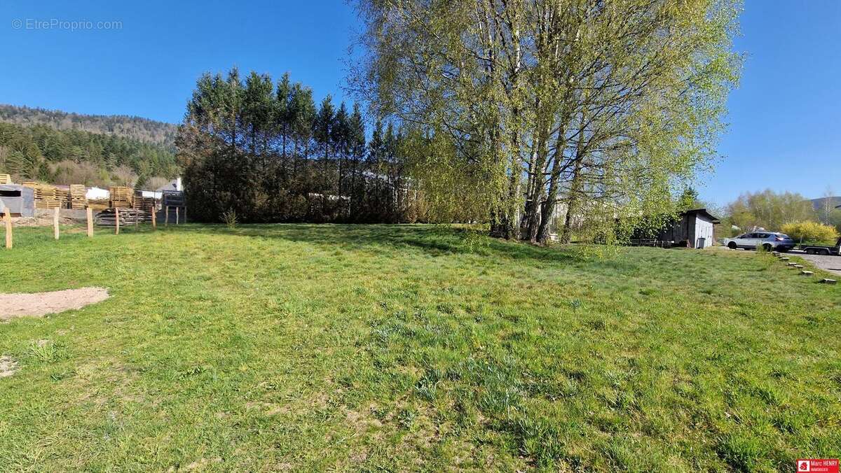 Terrain à SAINT-AME