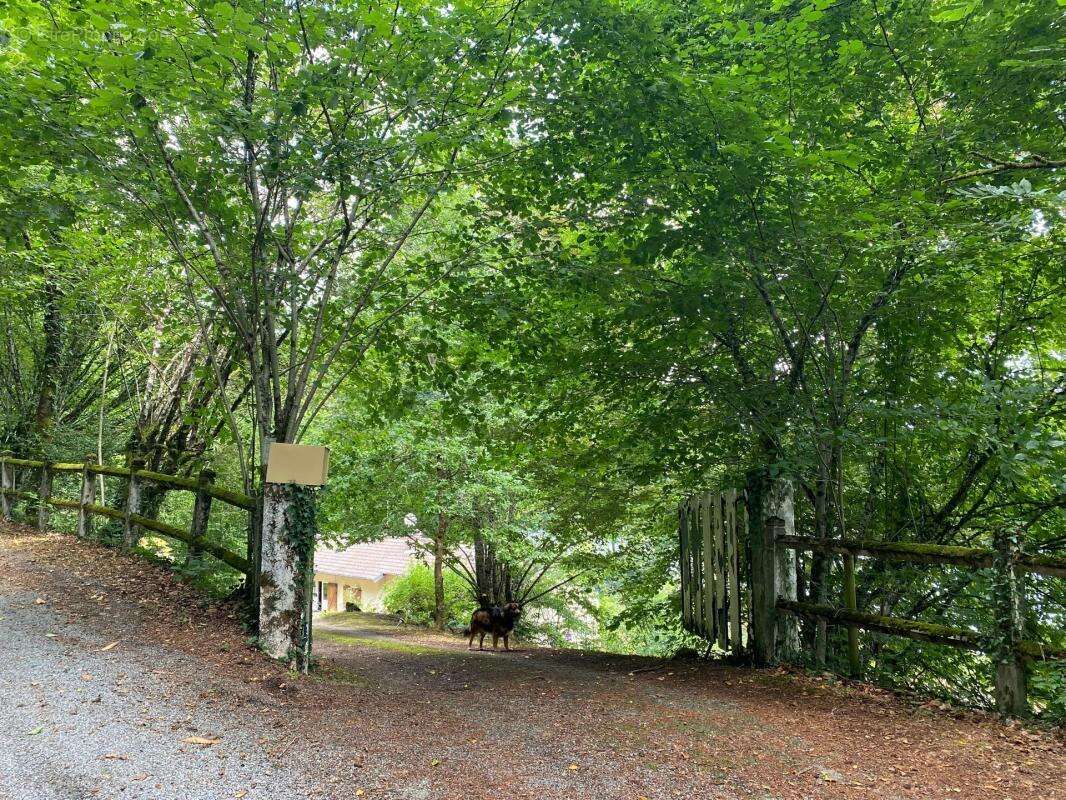 Maison à SAINT-JULIEN-LE-PETIT