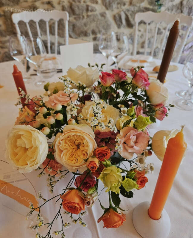 Commerce à TOURNON-SUR-RHONE