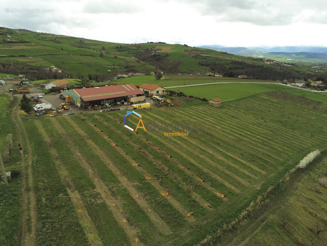 Terrain à SAINT-ROMAIN-EN-JAREZ
