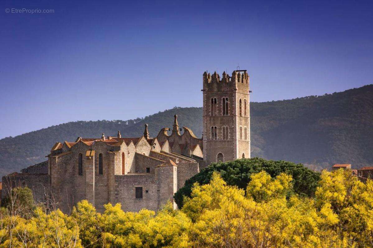 Terrain à ILLE-SUR-TET