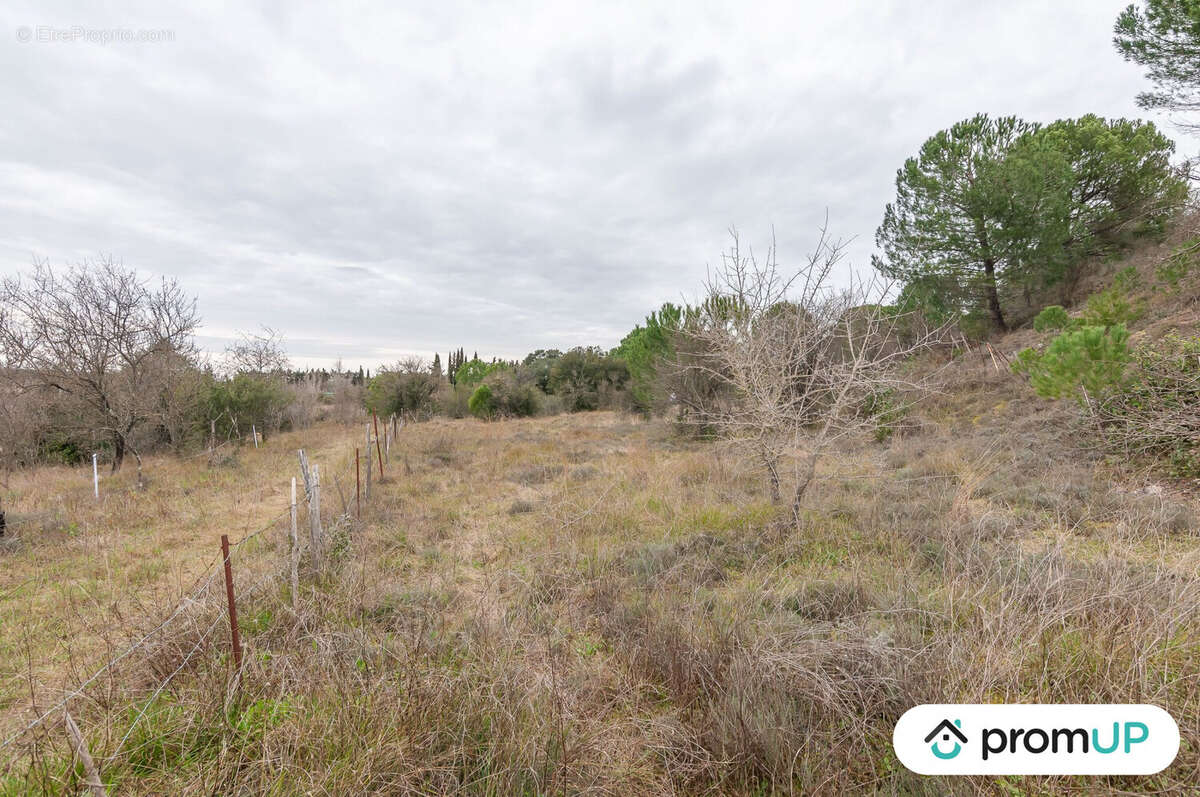 Terrain à LUNEL-VIEL