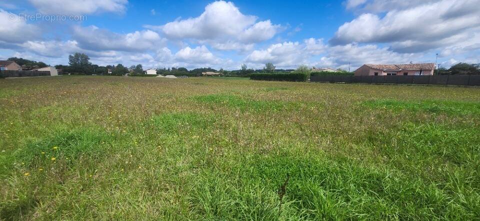 Terrain à SAINT-GAUZENS