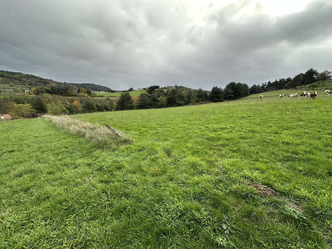 Terrain à PONT-SALOMON