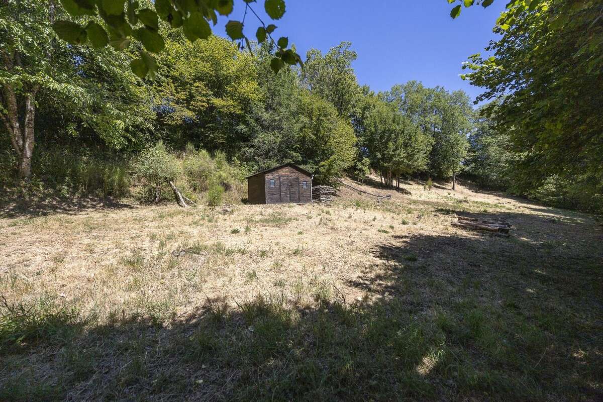 Maison 74 m² à Ally  - photo 5