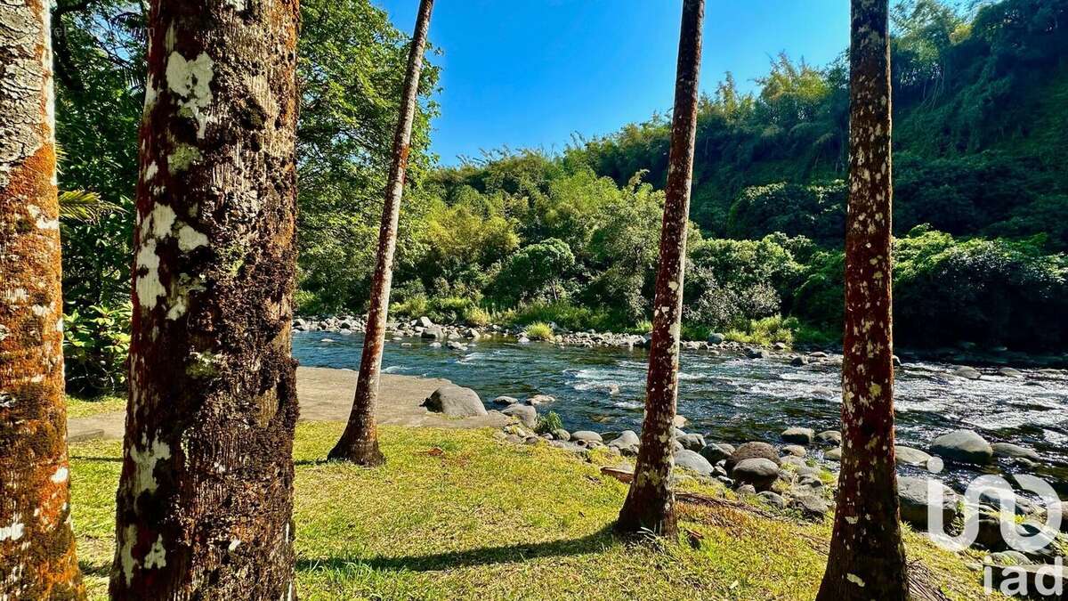 Photo 9 - Maison à SAINT-BENOIT