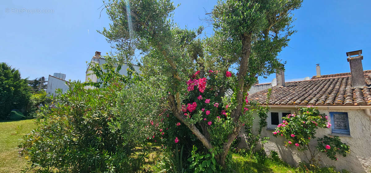 Charmante maison de village sur grand jardin clos - photo 3