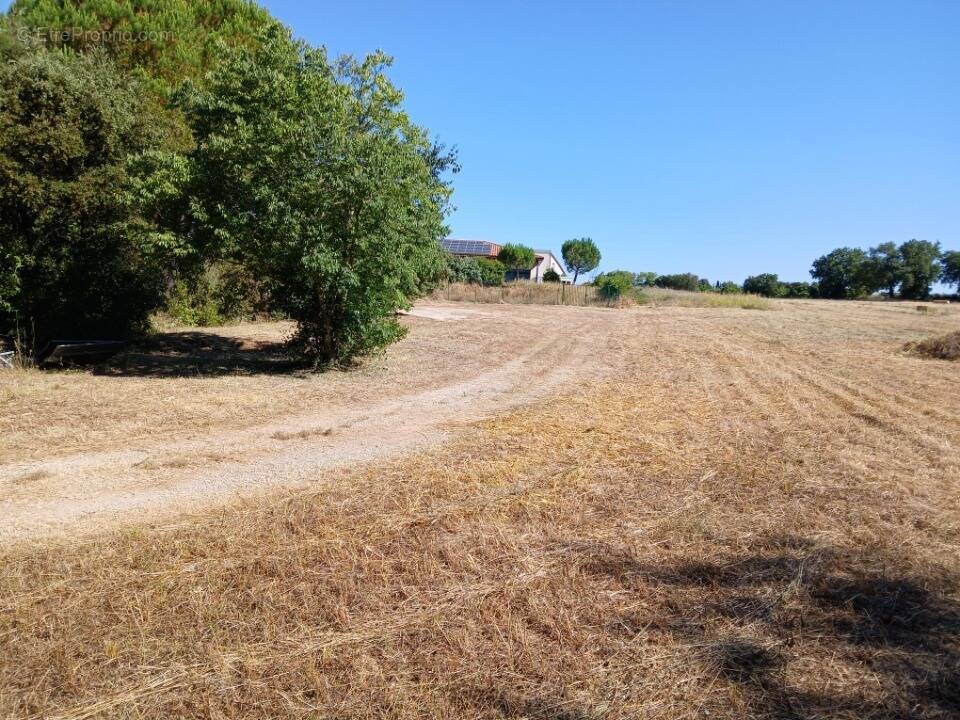Terrain à VERARGUES