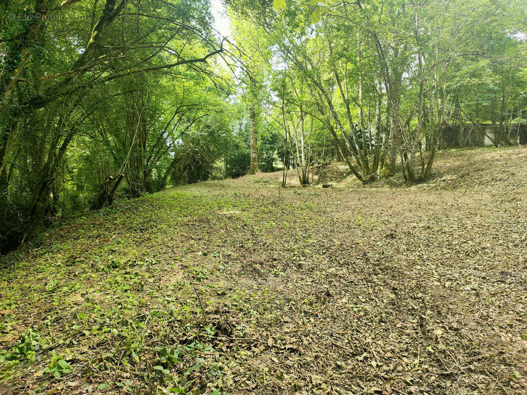 Terrain à MONTREUIL-L&#039;ARGILLE