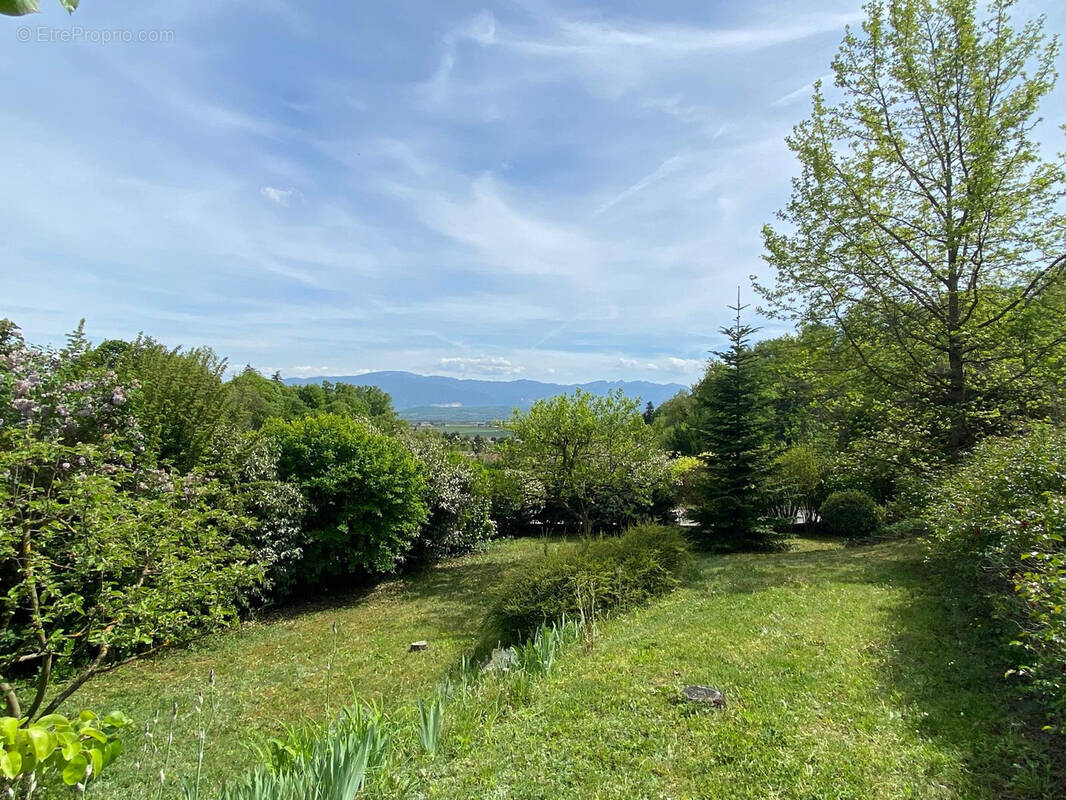 Terrain à GENISSIEUX