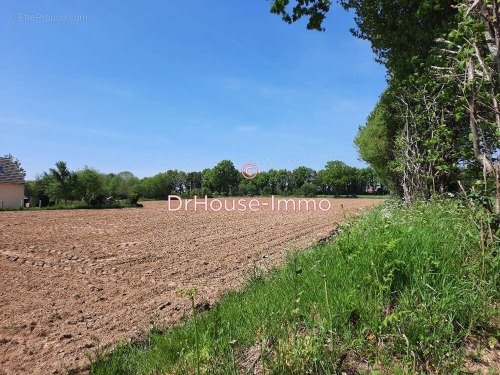 Terrain à PARIGNY