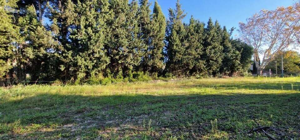 Terrain 299 m² à Maussane-Les-Alpilles  - photo 2
