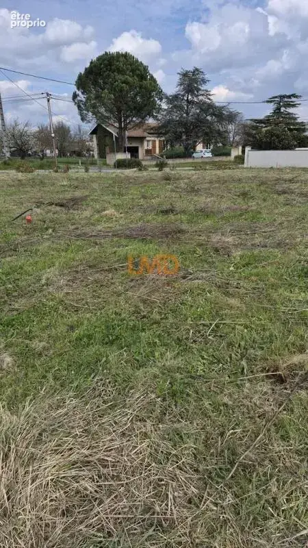 Terrain à Rieux Volvestre de 500 m² - photo 8