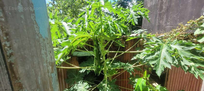 Maison à CAPESTERRE-BELLE-EAU