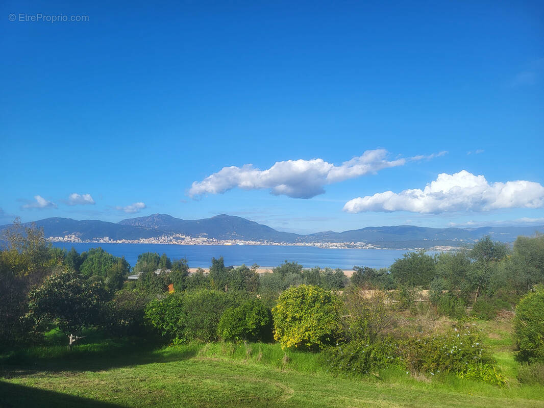 Maison à PIETROSELLA