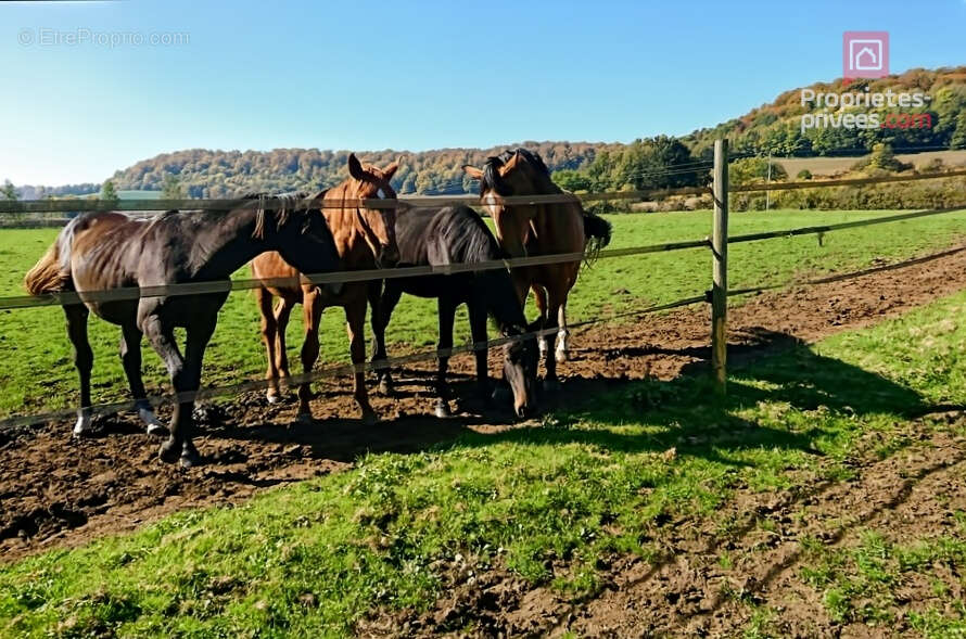 Maison à VARNEVILLE