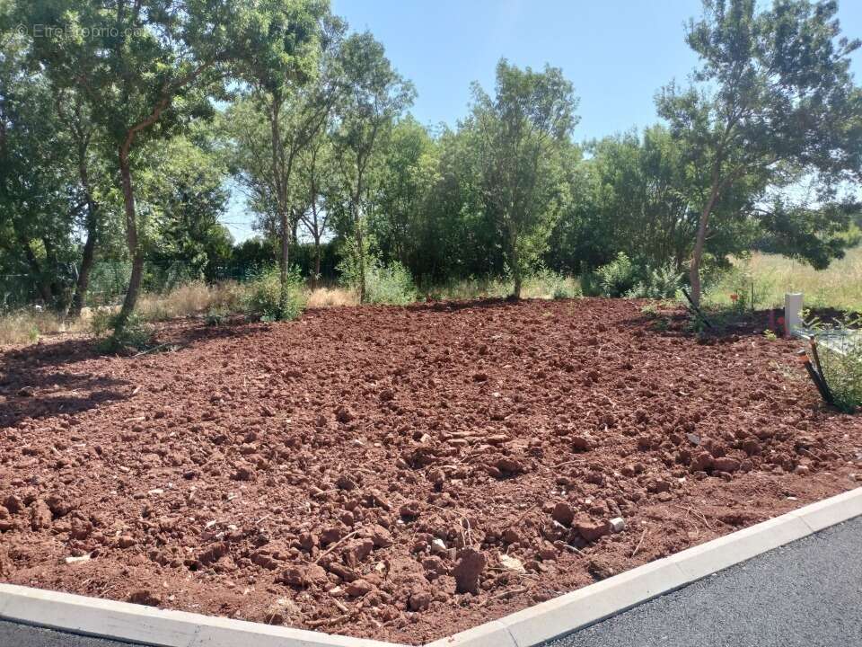 Terrain 393 m² à Le Luc  - photo 5
