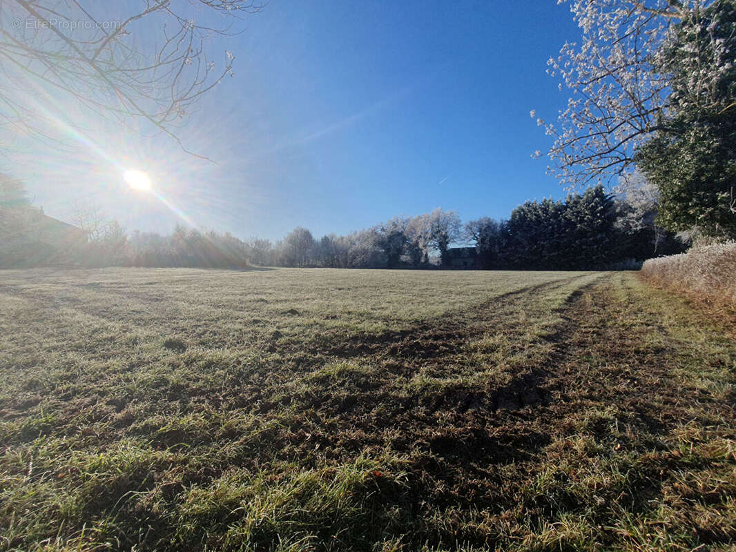 Terrain à VILLEBRET