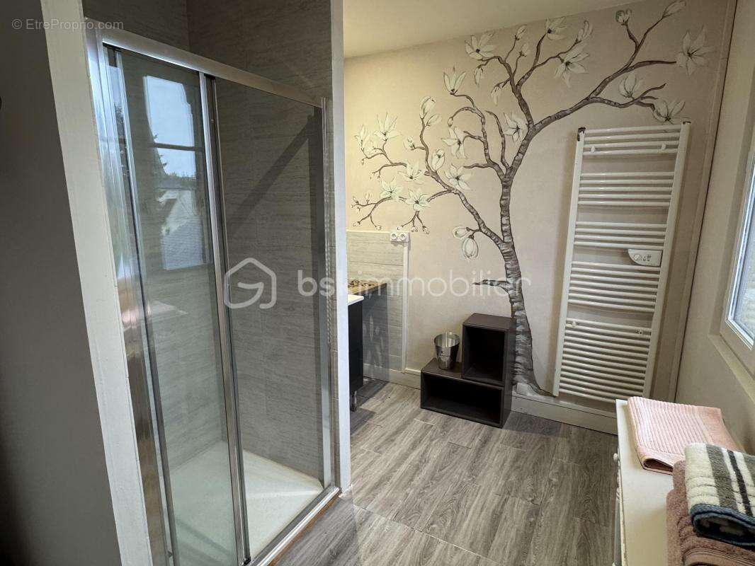 Maison à LE PETIT-PRESSIGNY