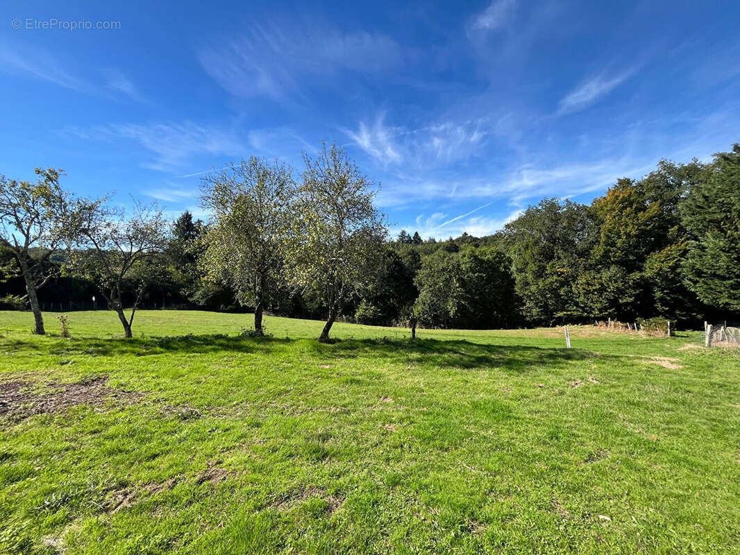 Autre à CONDAT-SUR-VIENNE