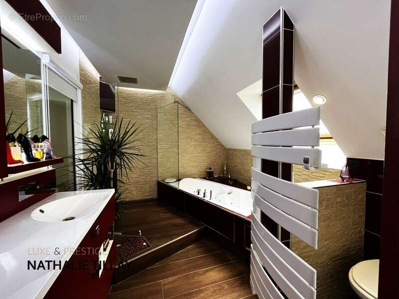 Maison à LA CHAPELLE-SAINT-MESMIN