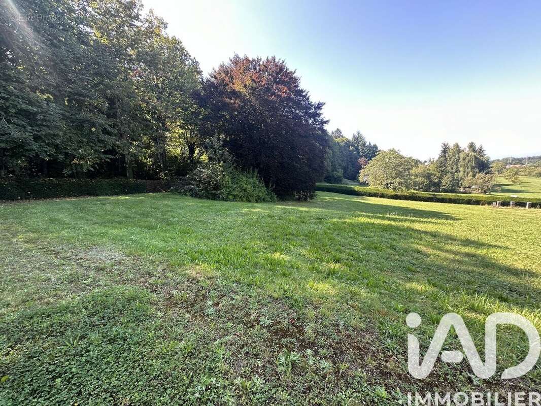 Photo 5 - Terrain à FERRETTE