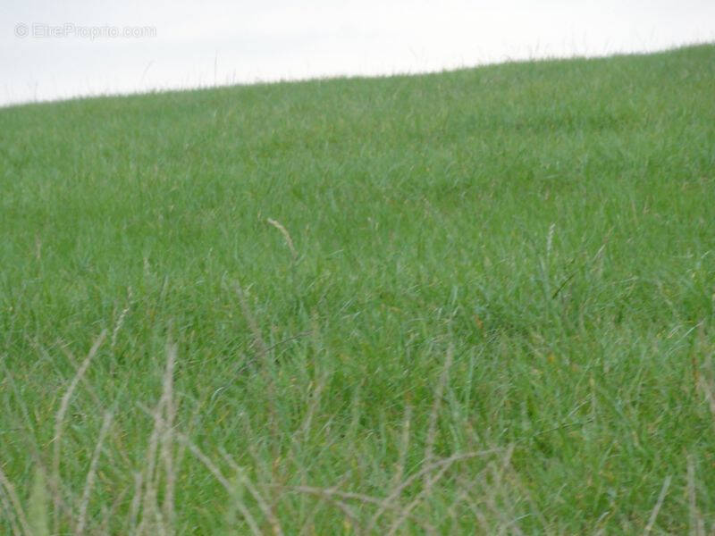 Terrain à PLUMELIAU