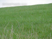 Terrain à PLUMELIAU