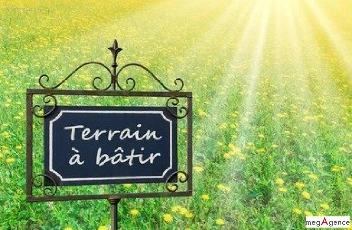 Terrain à MONTFORT-LE-GESNOIS
