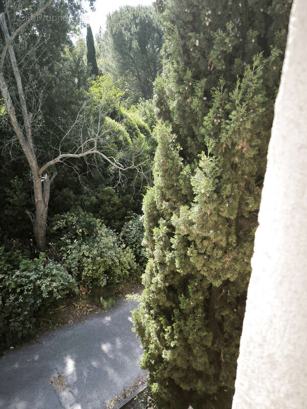 Appartement à MARSEILLE-11E