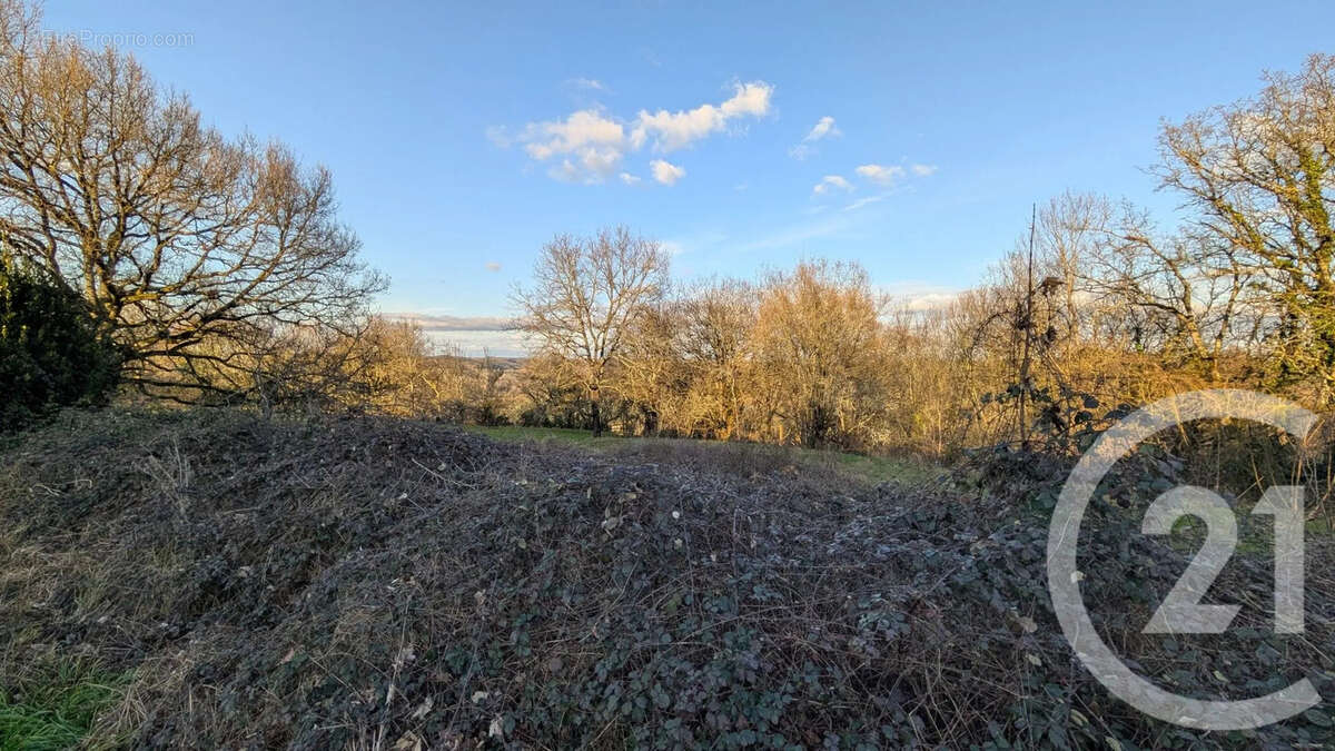 Terrain à BEAUVILLE