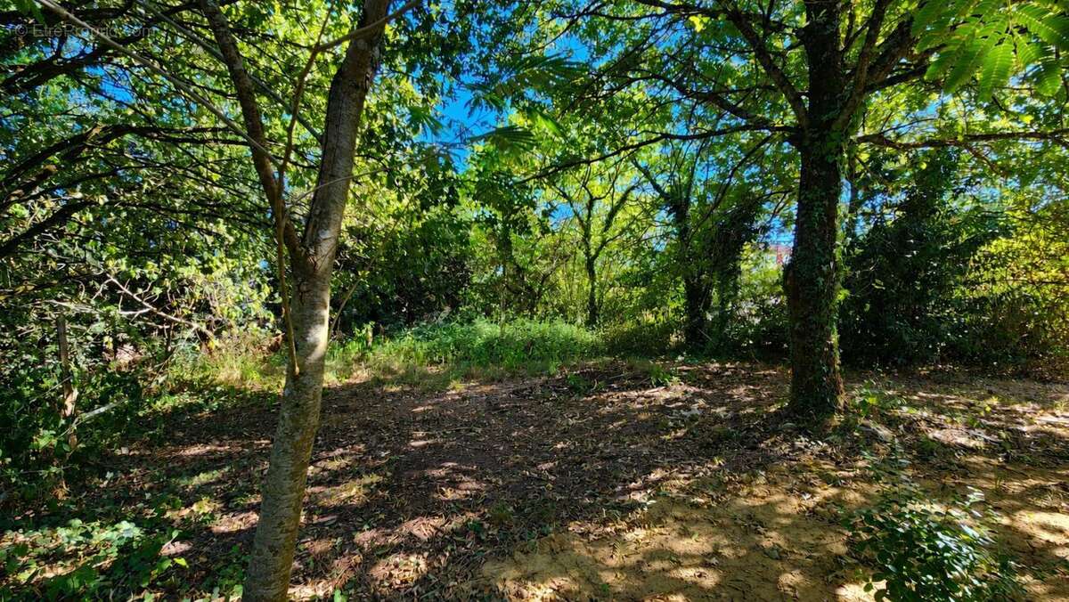Ancien corps de ferme - 3 hectares de terrain - Dépendances - photo 10