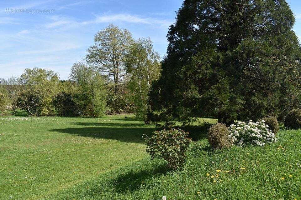 Terrain à SAINT-LEGER-EN-YVELINES