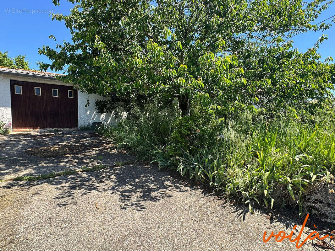 REF - BOISERAC - 20 min CARCASSONNE - Maison140m² hab -  4 chambres - dépendance - jardin - photo 3