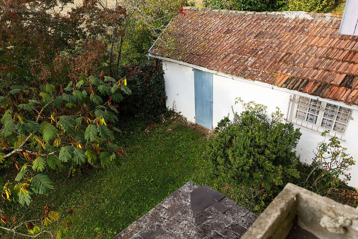 Photo 5 - Maison à SAINT-PALAIS