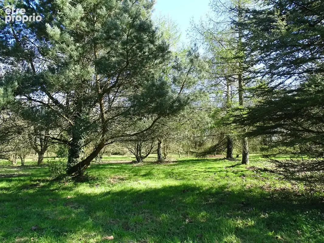 CÔTES-D'ARMOR. Maison individuelle de 3 chambres, avec dépendances, avec plus d'un hectare de terrain, près de Plussulien - photo 16