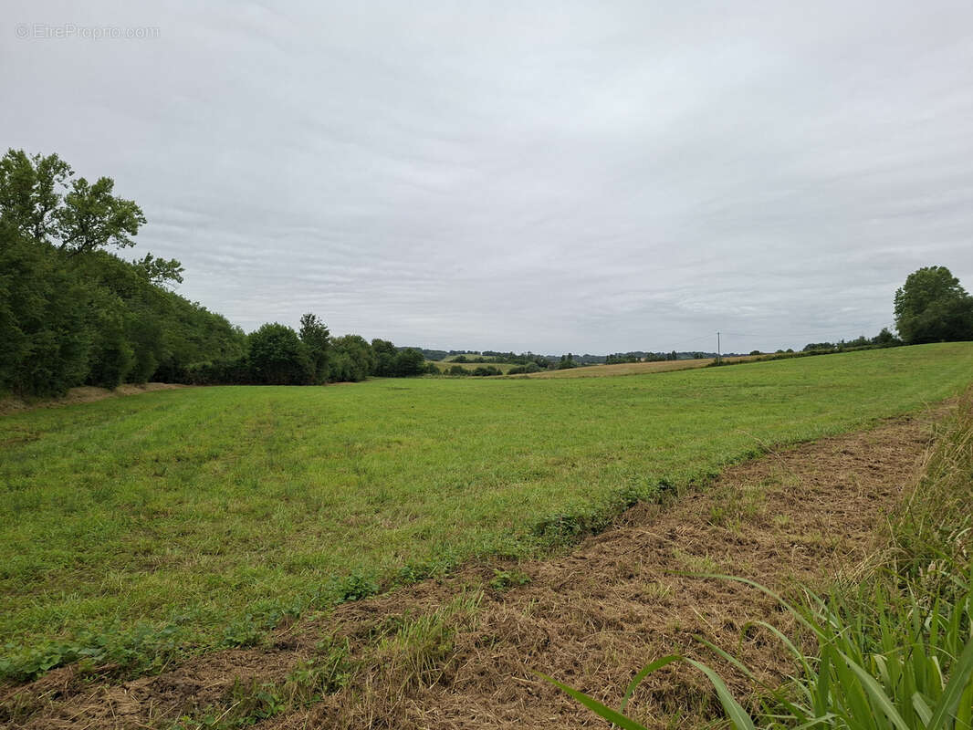 Terrain à MARCIAC