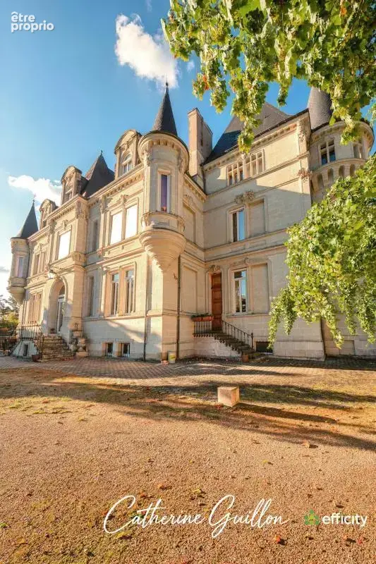 Maison 18 pièces 560 m² à vendre à Ingrandes (86220) - photo 2
