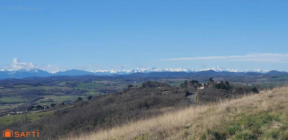 Photo 2 - Maison à MONTESQUIEU-VOLVESTRE