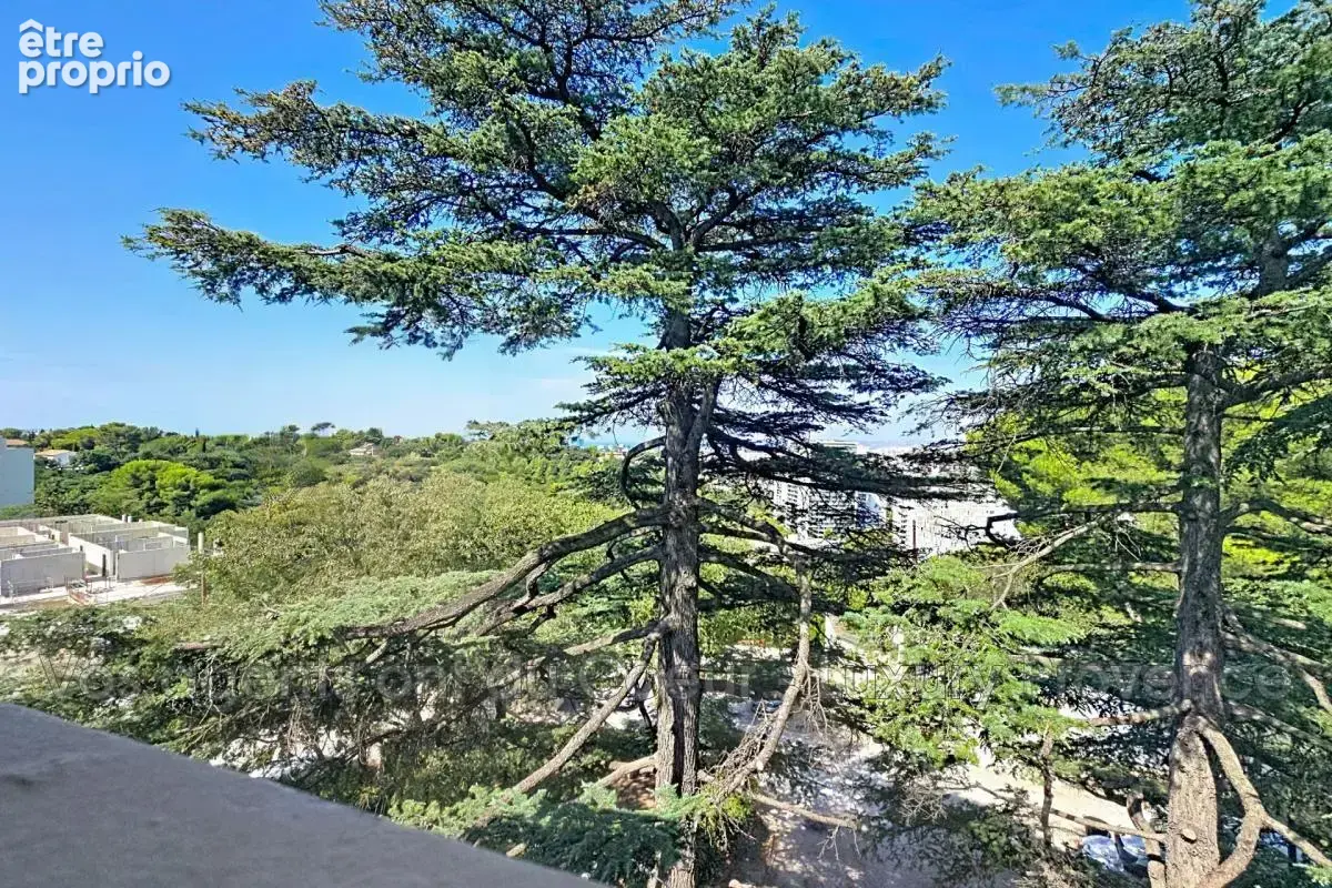 Appartement à MARSEILLE-12E