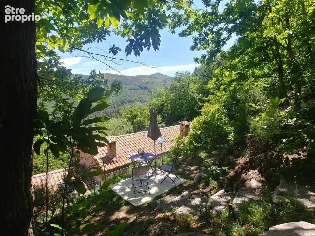 Belle maison Ardéchoise avec gîtes sur le terrain de 9950m² - photo 22