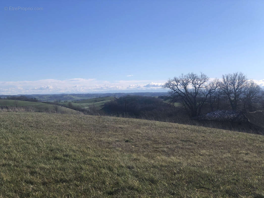 Maison à SAUVETERRE