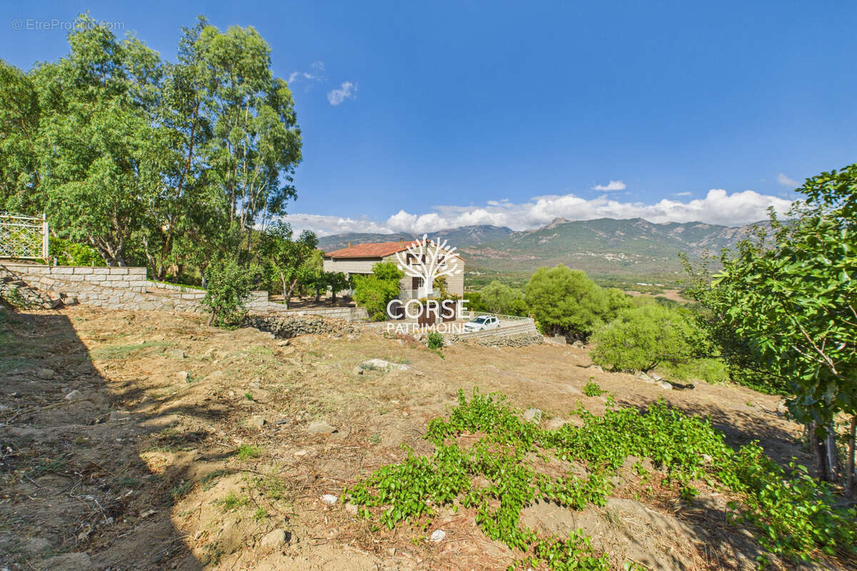 Maison à SOTTA