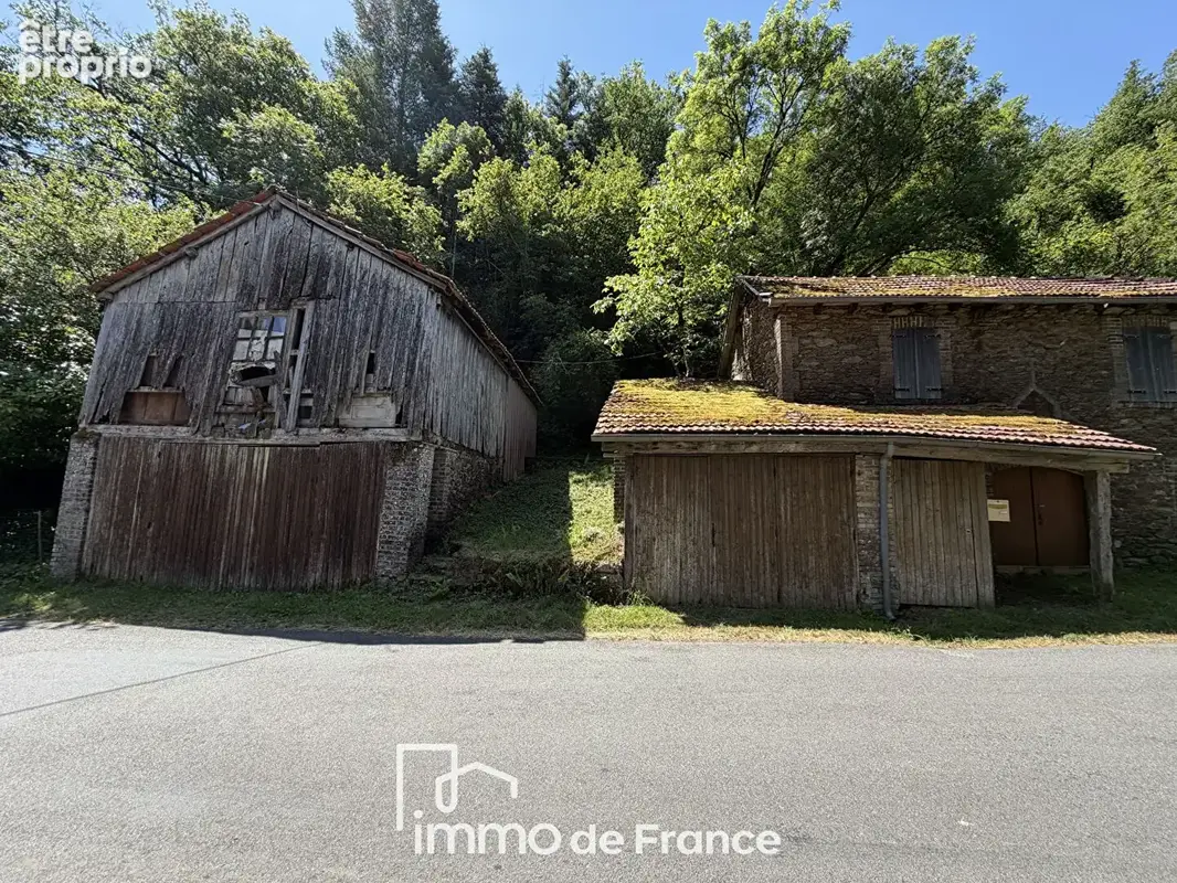 Vallée du Lot, Maison isolée avec 1,5 ha de terrain- EXCLUSIVITE - photo 10