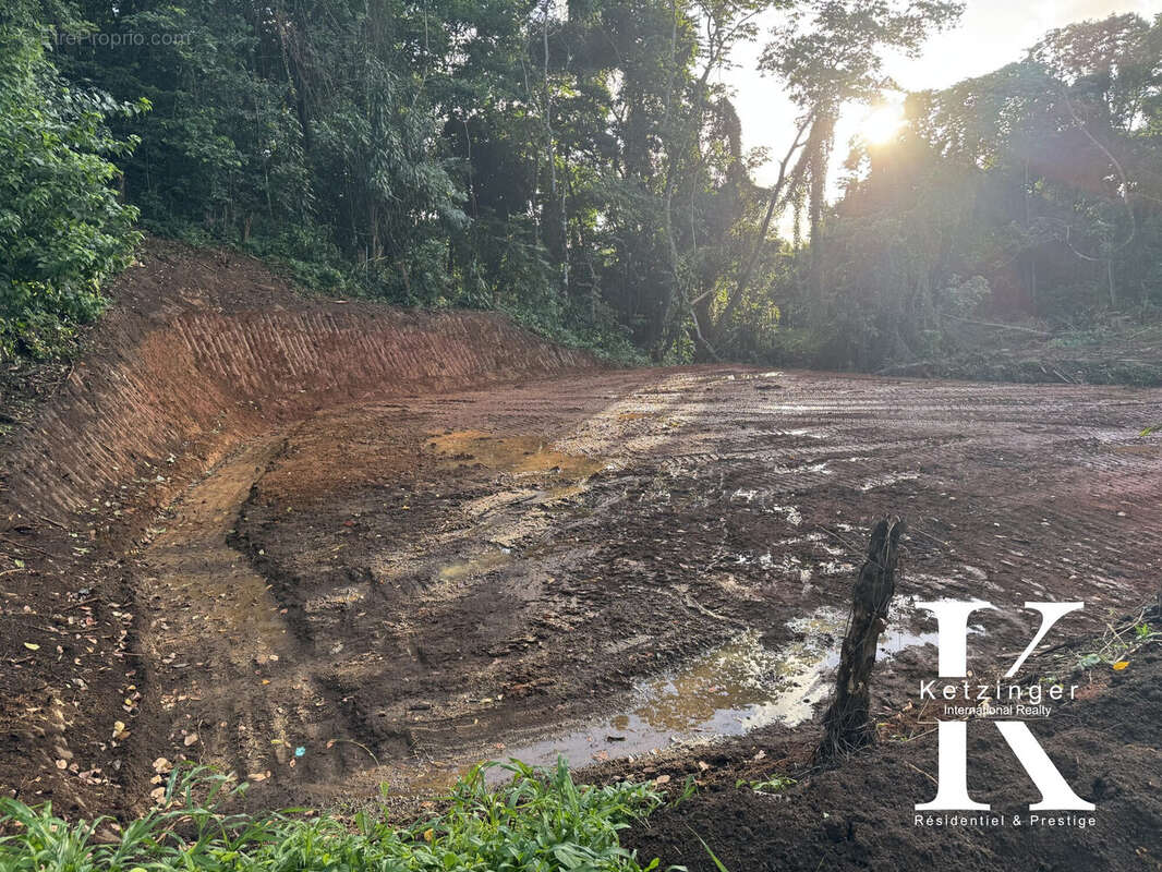 Terrain à LE LAMENTIN