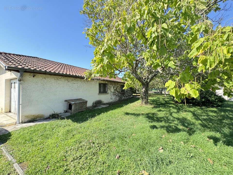 Maison à TOURNEFEUILLE