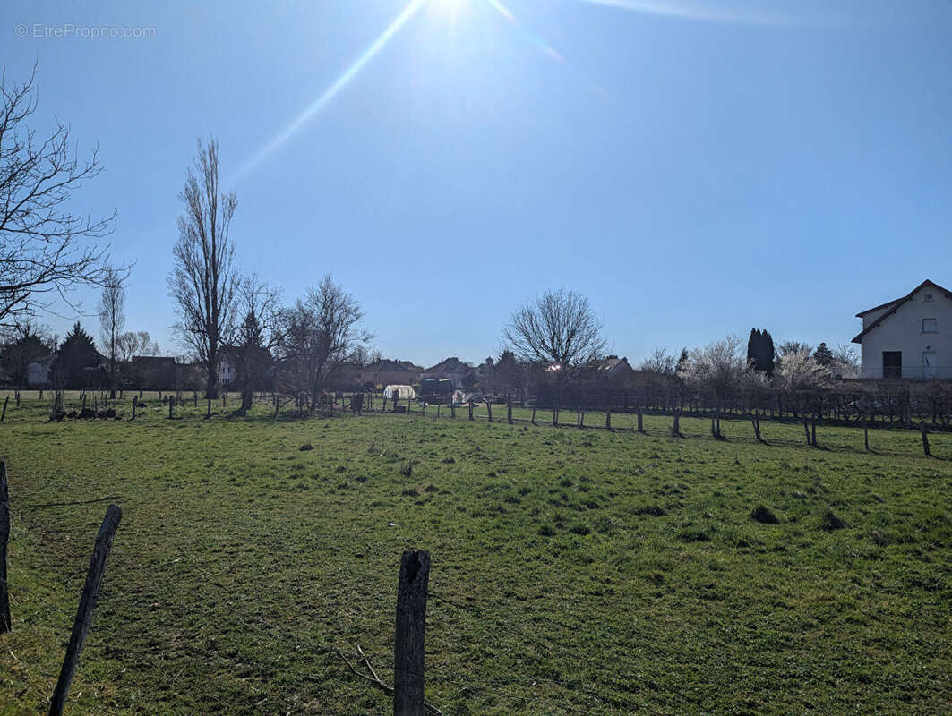 Terrain à BLETTERANS